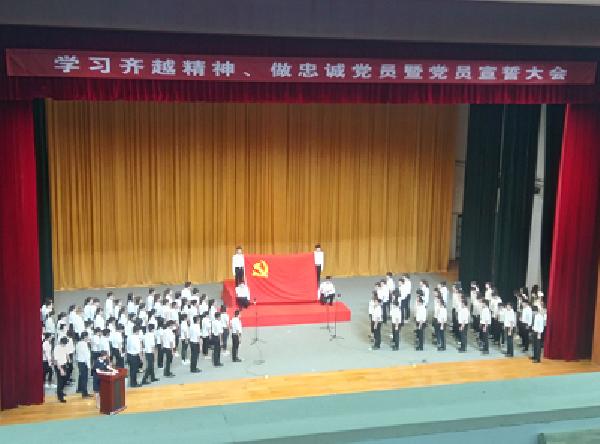图片8